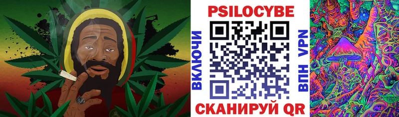 Псилоцибиновые грибы Psilocybe  Заполярный 